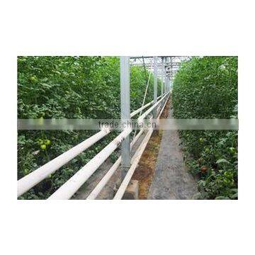 Vegetable Greenhouse photo-3