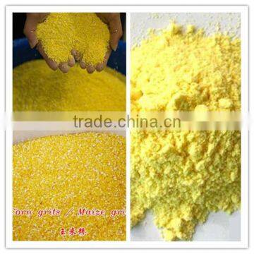 Full Automatic 150tpd Maize Milling Machines for Maize Flour photo-5