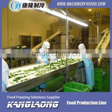 500Kg/H fruits and vegetablesprocessing line