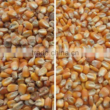 5388 Pixels Intelligent Ccd Color Camera Color Sorter With Advanced Technology and Quality Service photo-4