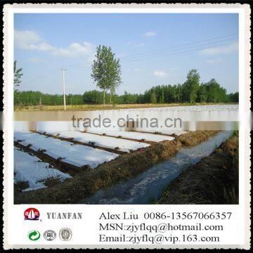 Steady Quality China Agricultural PP Non-woven Fabric,Crop Cover photo-4