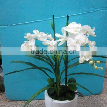 2017 GZ High Quality Colorful Plastic Orchid Flower Factory for Office Decoration Artificial Orchid photo-2