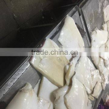 Frozen Peru Dosidicus Gigas Giant Squid Fillet photo-4