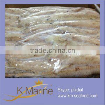 Seafood well processed sarda sarda tuan loin wholesale