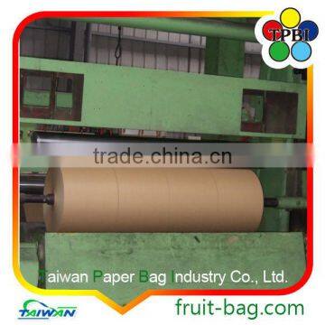 TPBI White Paper Fruit Growing Paper Bag Grapefruit Paper Bag Cover Bag photo-6
