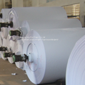 Cup Type and Pulp Material Pe Coated Paper Roll photo-4