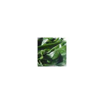 Laminaria