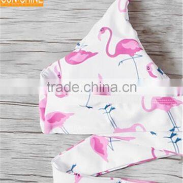 Crossfit High Cut Swimwear Flamingo Vintage Printing Bandage Bikini photo-4