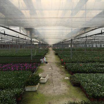 Tunnel Connected Greenhouse Covering Plastic Film