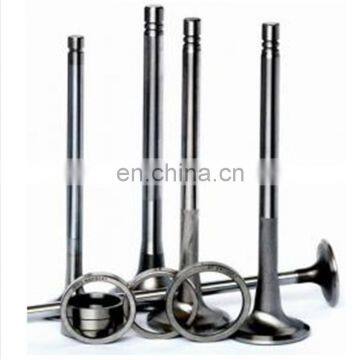 Global Manufacturer Workshop Suppliers Engine Valve For Iveco Daily Citys Bus 3.0 photo-3