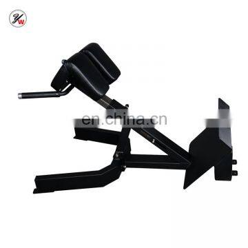 Commercial gym equipment hyper extension Roman Chair