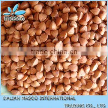 buckwheat, Chinese Inner Mongolia bulk Roasted Buckwheat stock reasonable price