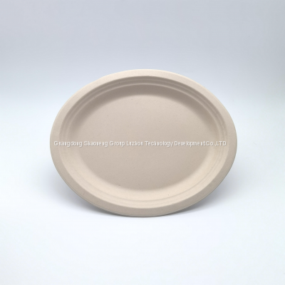 12.5 Inch Customizable Big Oval Plate Sugarcane Biodegradable Wholesale Bagasse Plate Compostable Biodegradable Plastic Free photo-3