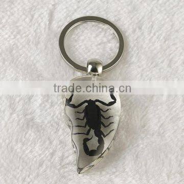 Promotional Real Black Scorpion Amber Wholesale Crystal Key Chain photo-3