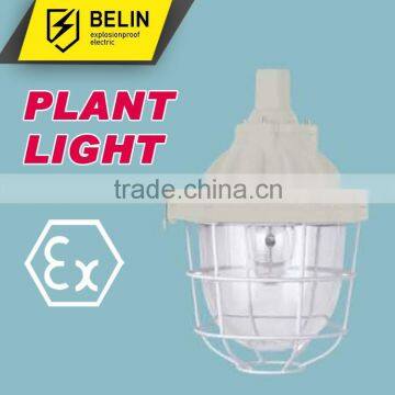 BAD51-200X Flameproof Explosion proof Light