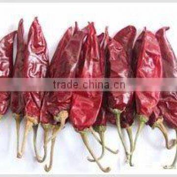 Dried Beijing Red chilli paprika