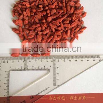 GOJI SIZE 380 photo-2