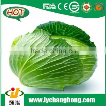 [Hot Sale] cabbage planter/cabbage harvester