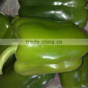 Fresh Capsicum - Special price - High quality