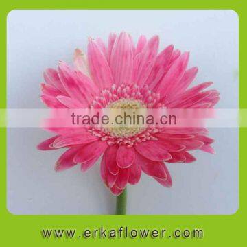 Factory direct flower real touch single stem yellow chrysanthemum