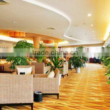 Luxury 5 Star Hotel Carpet, Lobby Carpet H-24