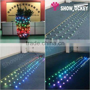 30mm RGB Digital Pixel String for Christmas Decoration