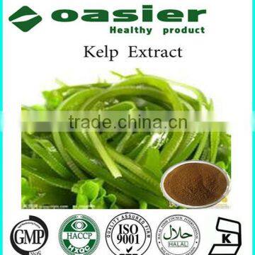 100% Natural Wakame Kelp Extract Cas No.:3351-86-8