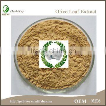 100% Natural Olive Leaf Extract Powder in Bulk photo-5