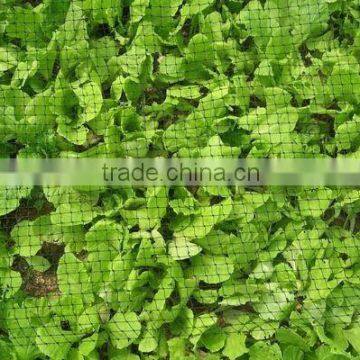 Plastic Bird Protection Net