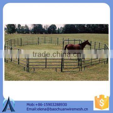 Rail 40mm*80mm oval rail * 1.6mmT lowes cattle panels