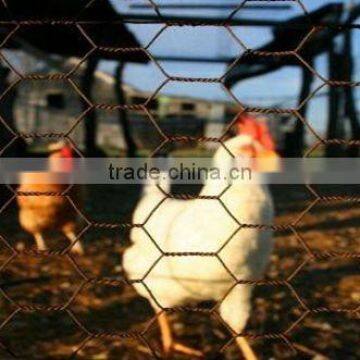 Aviary netting, stainless steel chicken wire, 50mm holes