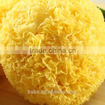 High Quality Snow Fungus Chinese White Fungus