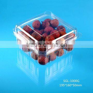 oblong clear disposable plastic fruit container