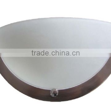 LEDwhiteness ceiling lamp