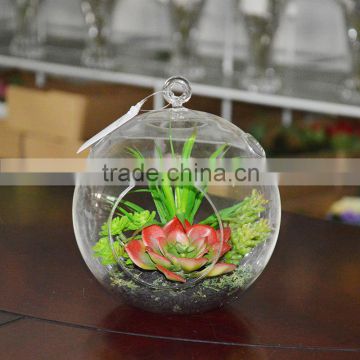 Hanging Round Artificial Succulent Plant Terrarium Glass