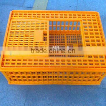 professional design injection plastic Poultry Crate mold