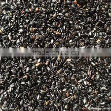Stainless Steel Chestnut Roasting Machine