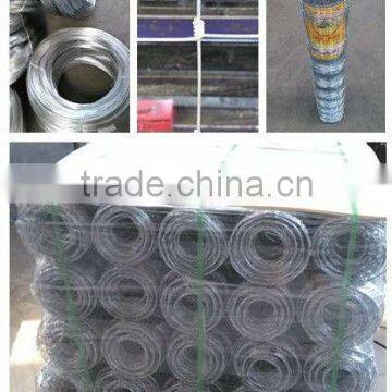 ISO 9001 stainless steel field fence