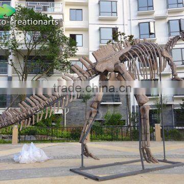 High simulation fiberglass skeleton model of dinosaur