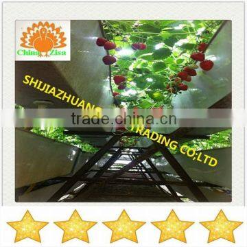 Agricultural Equipment Plant Stand in Greenhouse photo-6