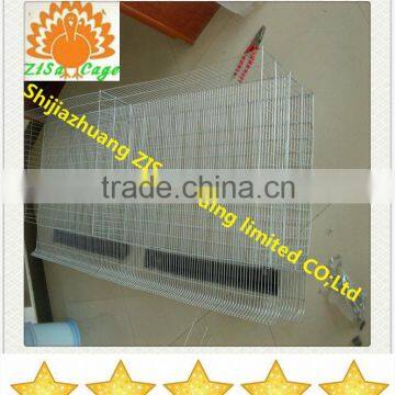 china zisa produce the quail cage