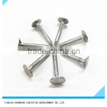 Roofing Nails