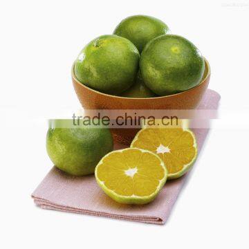 Natural Citurs grandis(L.) Osbeck Extract Naringin Dihydrochalcone supplier