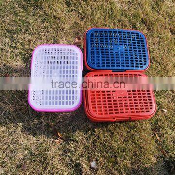 Taizhou New Injection With Handle With Lid Plastic Fruit Basket Mould photo-2