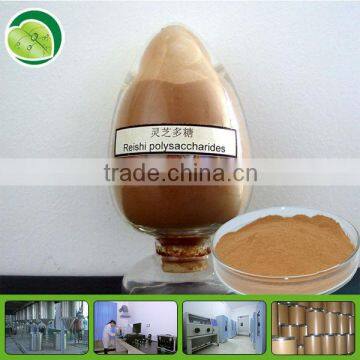 100% Natural ganoderma lucidum spore powder