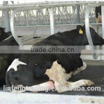 Galvanized Cattle Free Stalls, Cow Lying Bar,