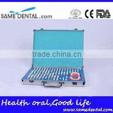 Dental Models 151 Teeth Prepared for the Standard Model School Education Demonstration