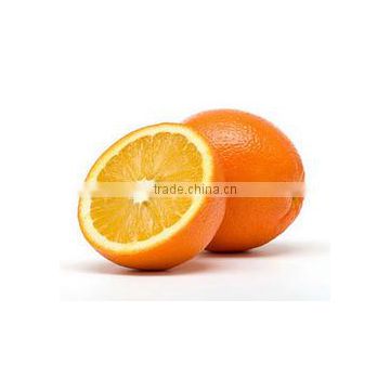 GOOD QUALITY Fresh Naval and Valencia Oranges