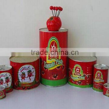 Tomato Ketchup Tomato Ketchup Plant Wholesale photo-2