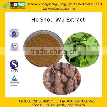 China Fo-ti Extract/ Fallopia multiflora extract supplier